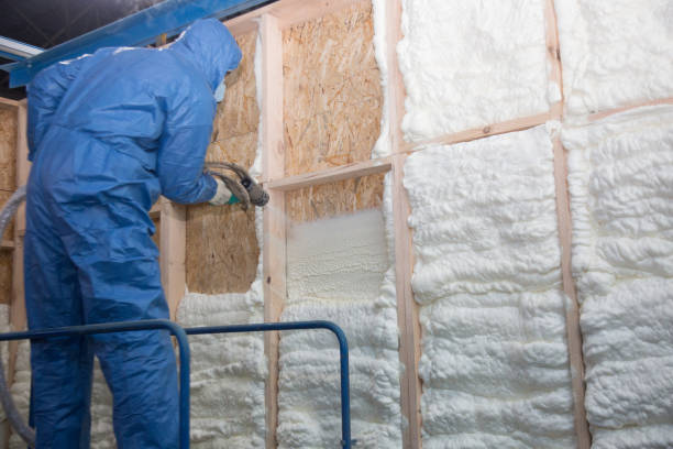 Best Wall Insulation Installation in Springfield, TN